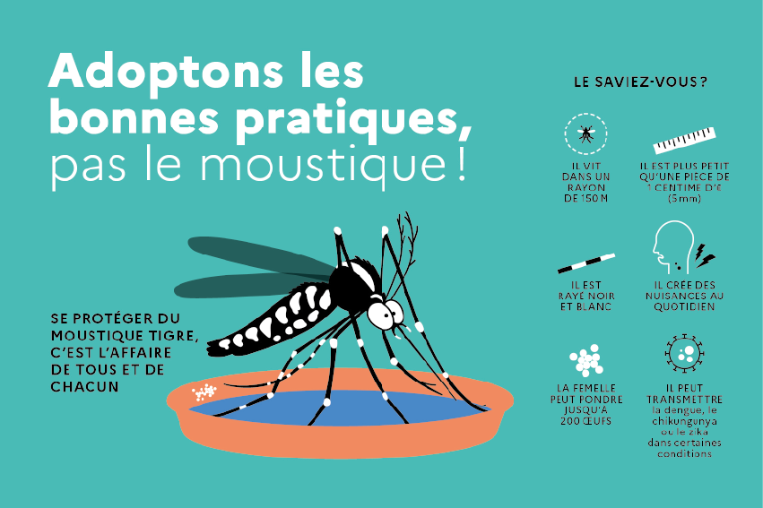 Le moustique-tigre - Campagnes de prévention - Sécurité et Protection de la  Population - Actions de l'État - Les services de l'État dans le Gers